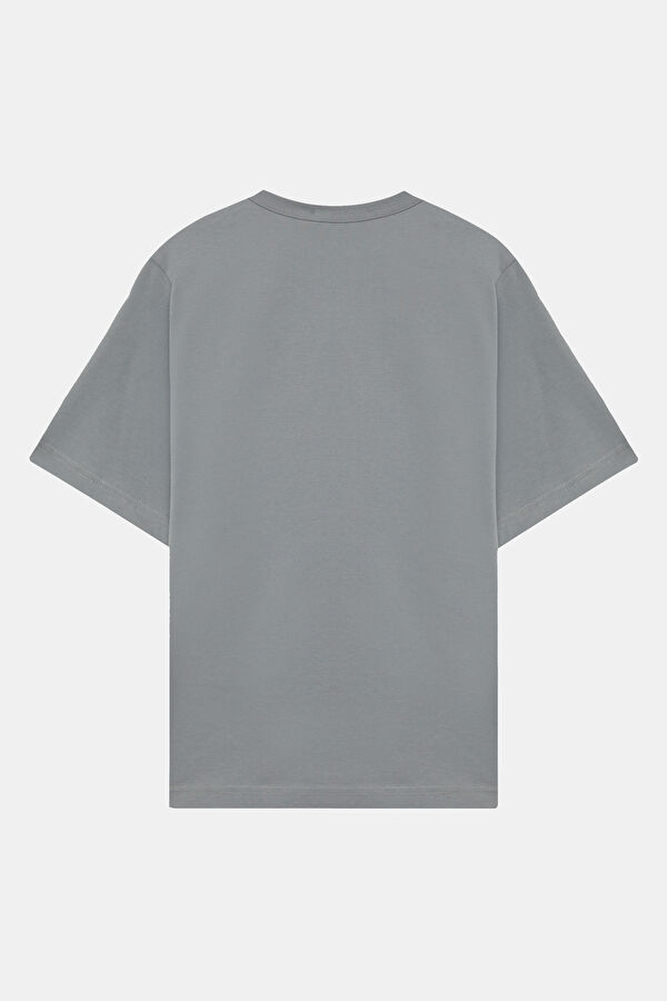 Gray Crew Neck Printed Women's T-Shirt 2