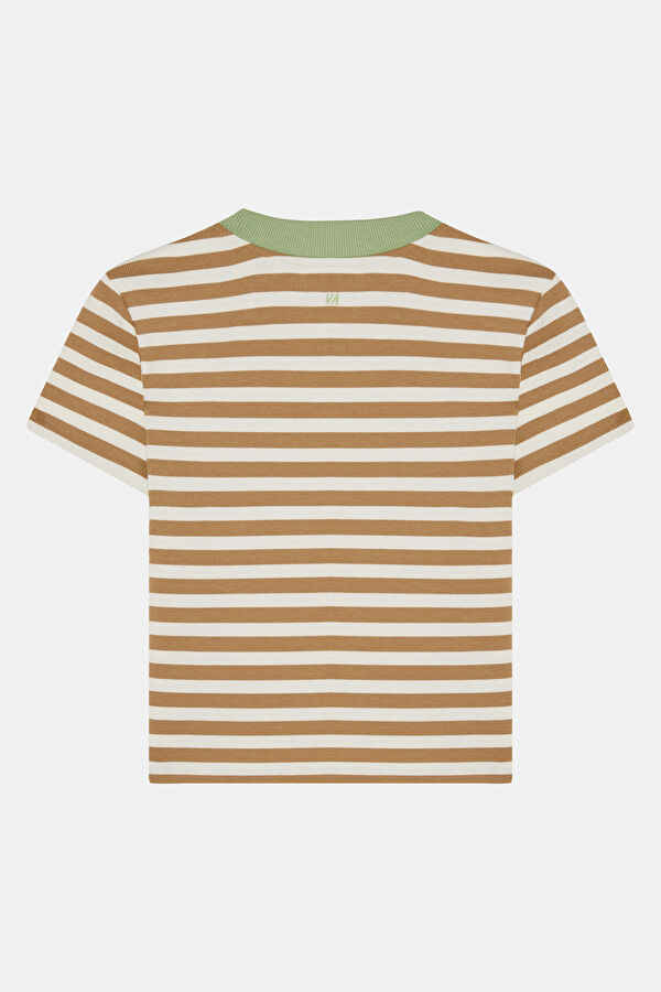 Çok Renkli Çizgili Bisiklet Yaka Kadın T-shirt 2