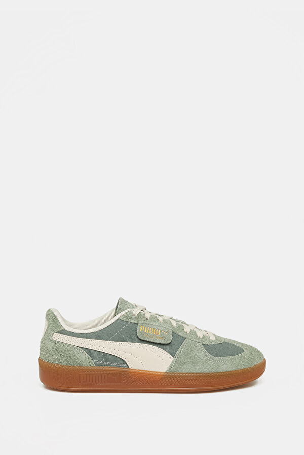 Palermo Vintage Green Men's Sneakers