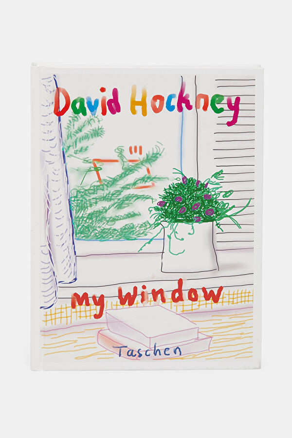 David Hockney My Window