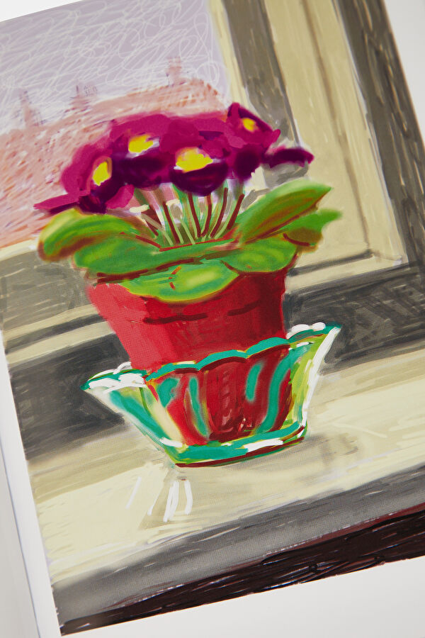 David Hockney My Window 10