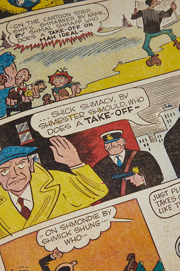 The Stan Lee Story 5
