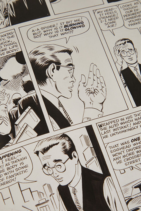 The Stan Lee Story 6