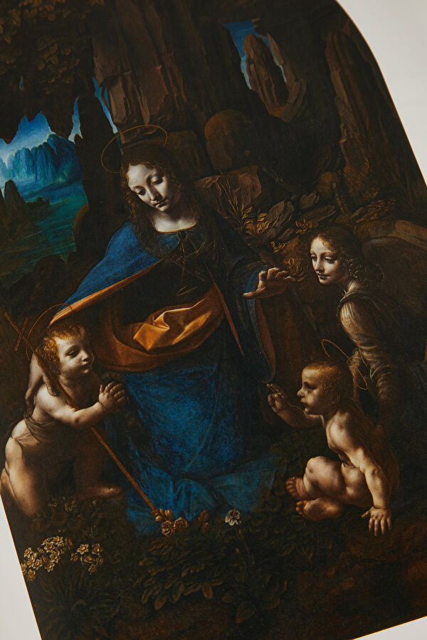 Leonardo 7