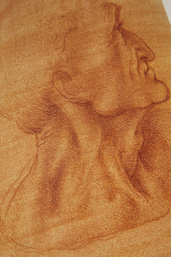 Leonardo 9