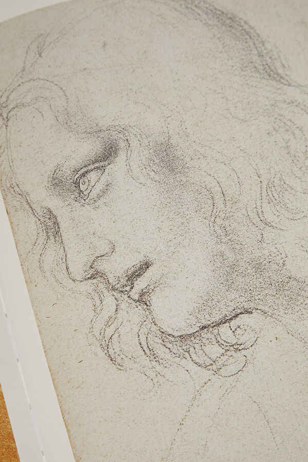 Leonardo 10