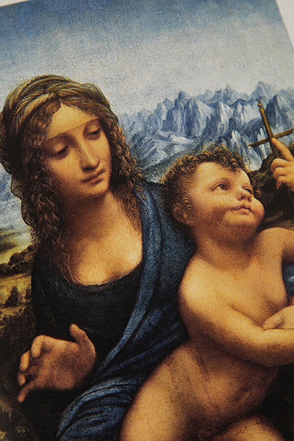 Leonardo 11