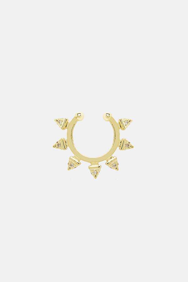 Gold Colored Earrings