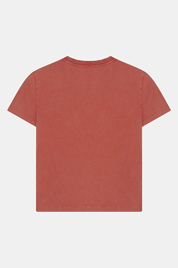 Red Crew Neck Patterned Women's T-Shirt 2