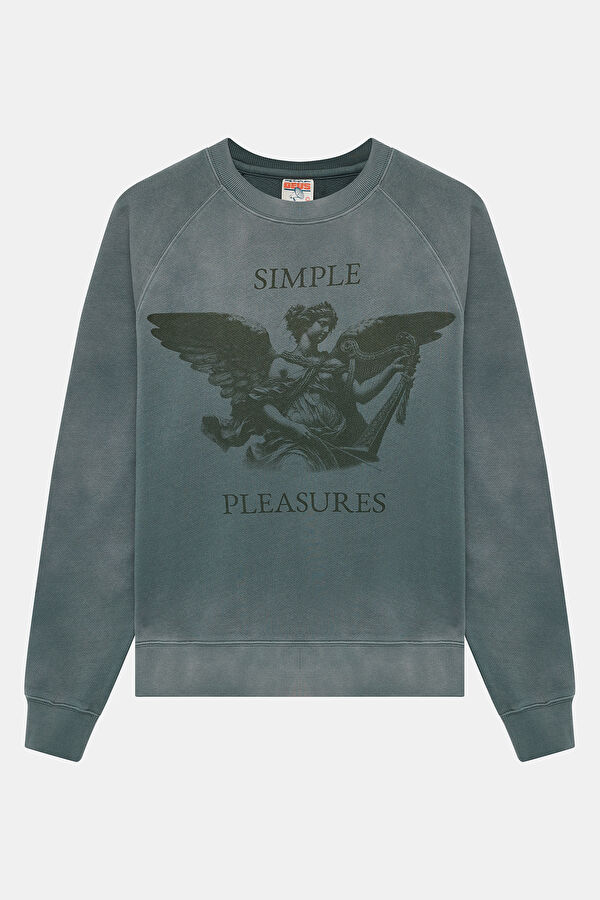 Gri Relax Kalıp Bisiklet Yaka Erkek Sweatshirt
