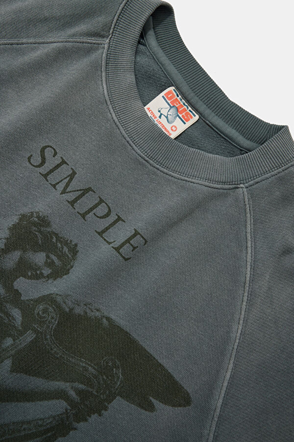 Gri Relax Kalıp Bisiklet Yaka Erkek Sweatshirt 3