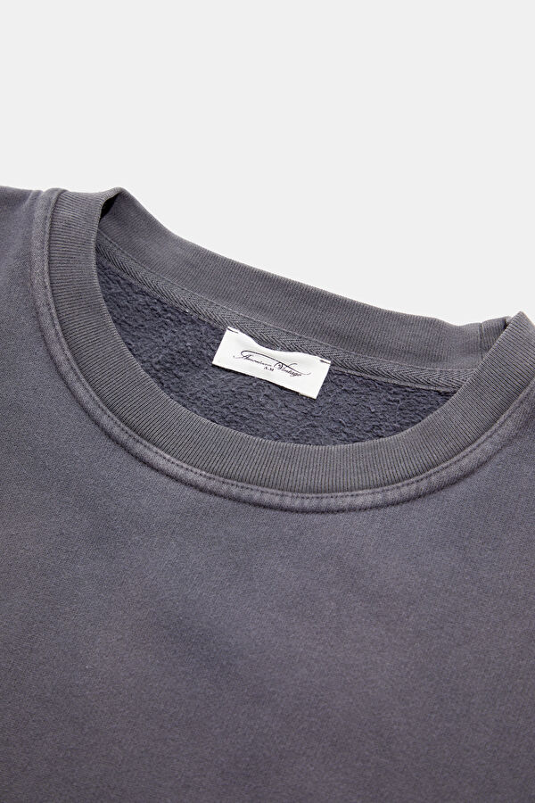 Relax Kalıp Gri Bisiklet Yaka Erkek Sweatshirt 3
