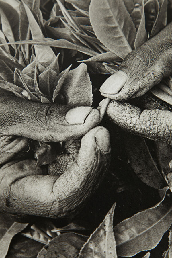 Sebastião Salgado Africa 7