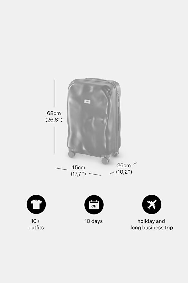 Icon Medium Silver Suitcase 6
