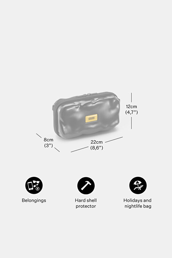 Mini Icon Silver Bag 5