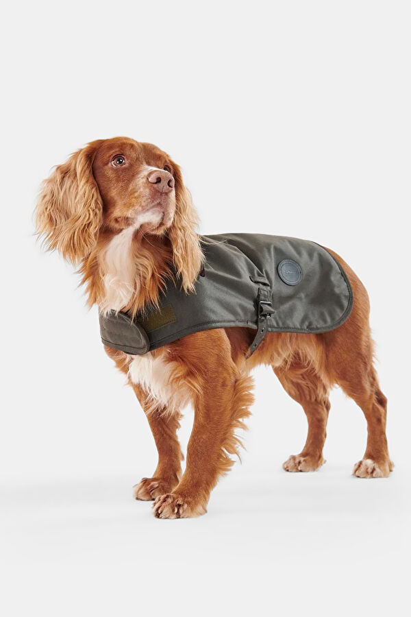 Shiny Yağlı Köpek Kıyafeti 2