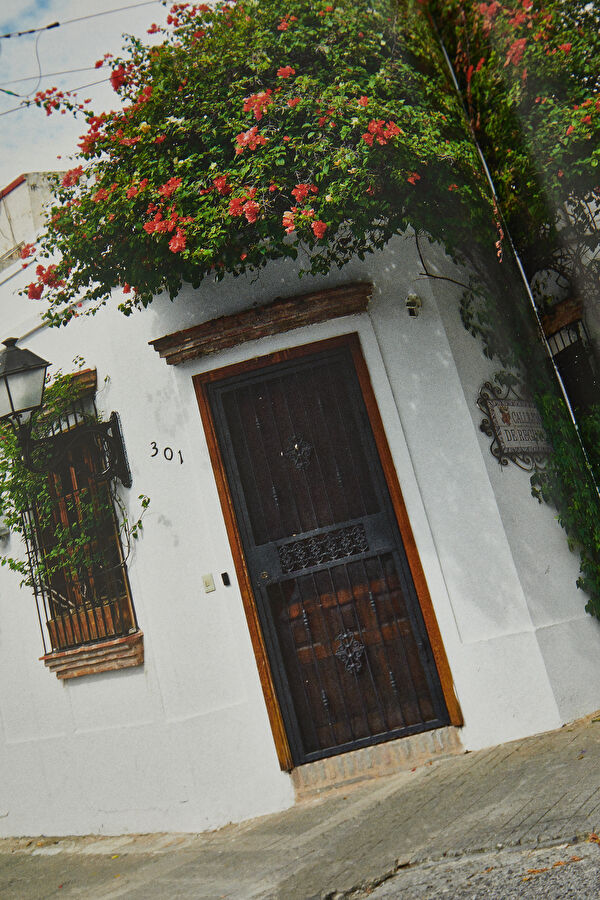 Santa Domingo 8