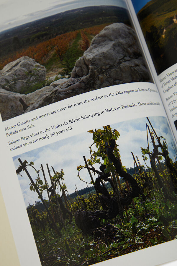 The Wines of Portugal 7