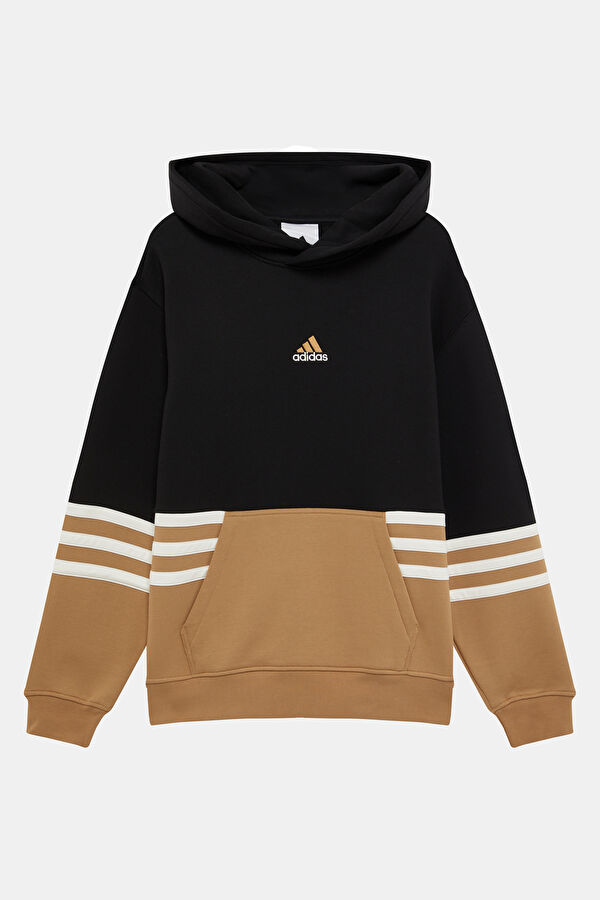 Siyah Relax Kalıp Kapuşonlu Erkek Sweatshirt 4