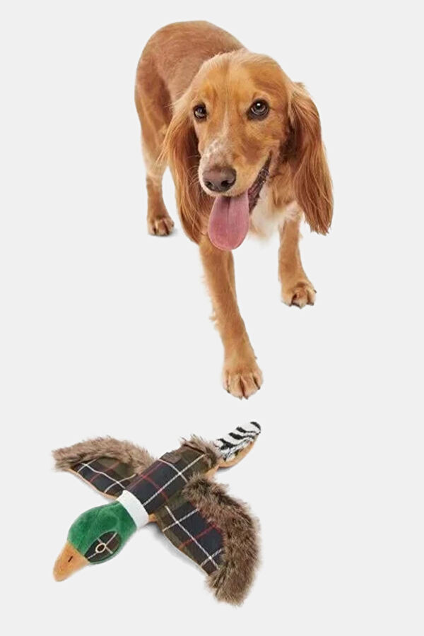 Barbour Köpek Oyuncağı 2