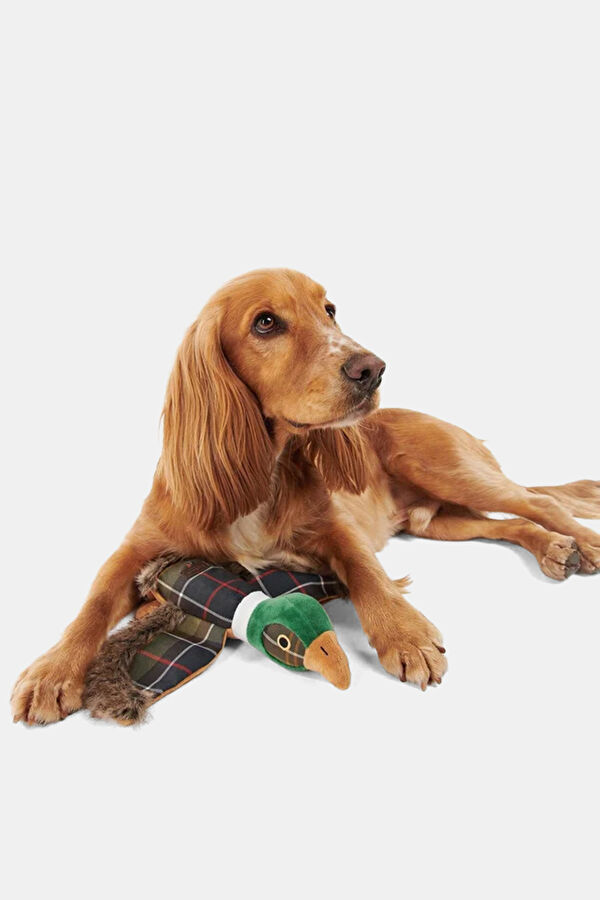 Barbour Köpek Oyuncağı 4
