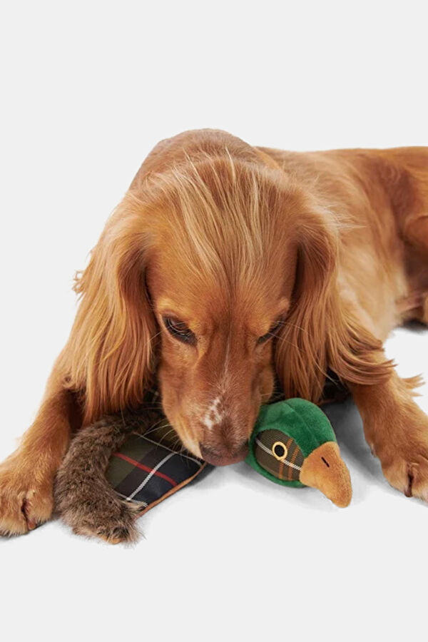 Barbour Köpek Oyuncağı 5