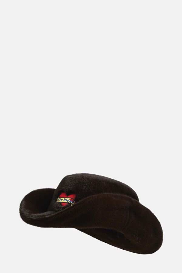Brown Hat