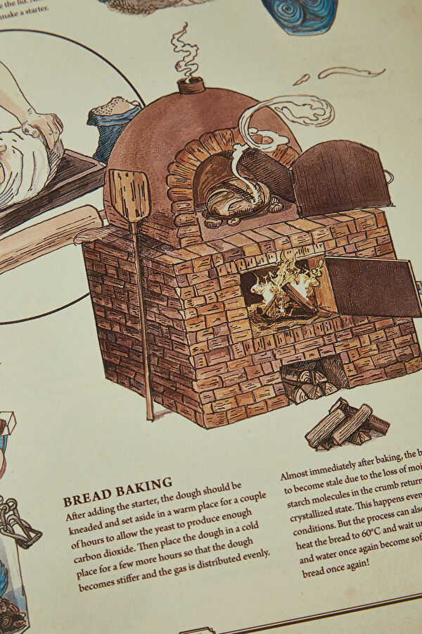 The Book: The Ultimate Guide to Rebuilding Civilization 10