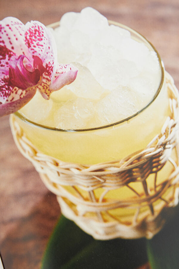 Steve the Bartender's Cocktail Guide 11