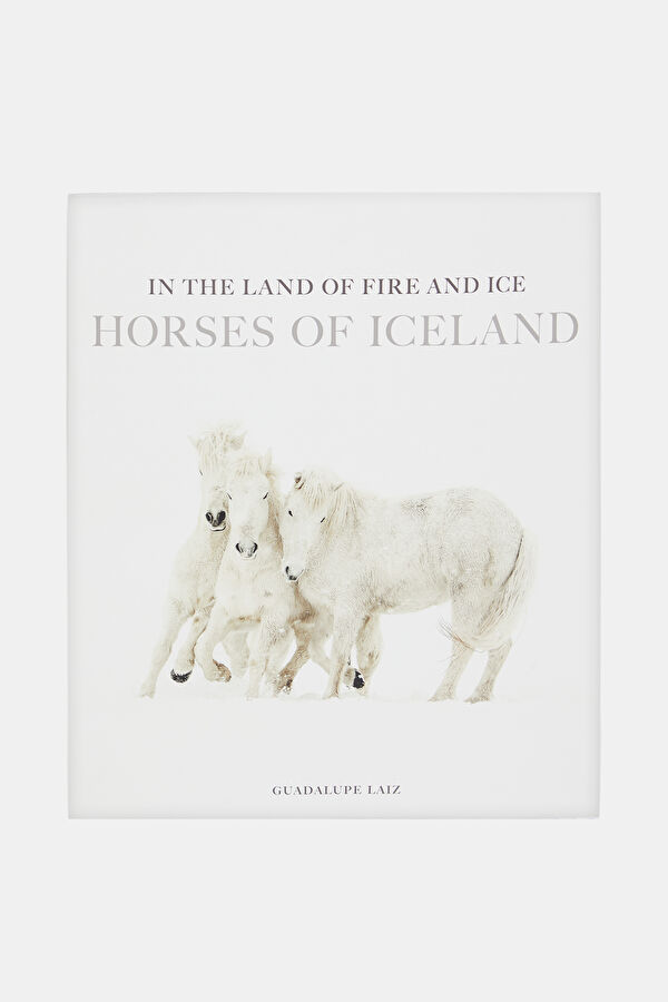 In The Land Of Fire And ice