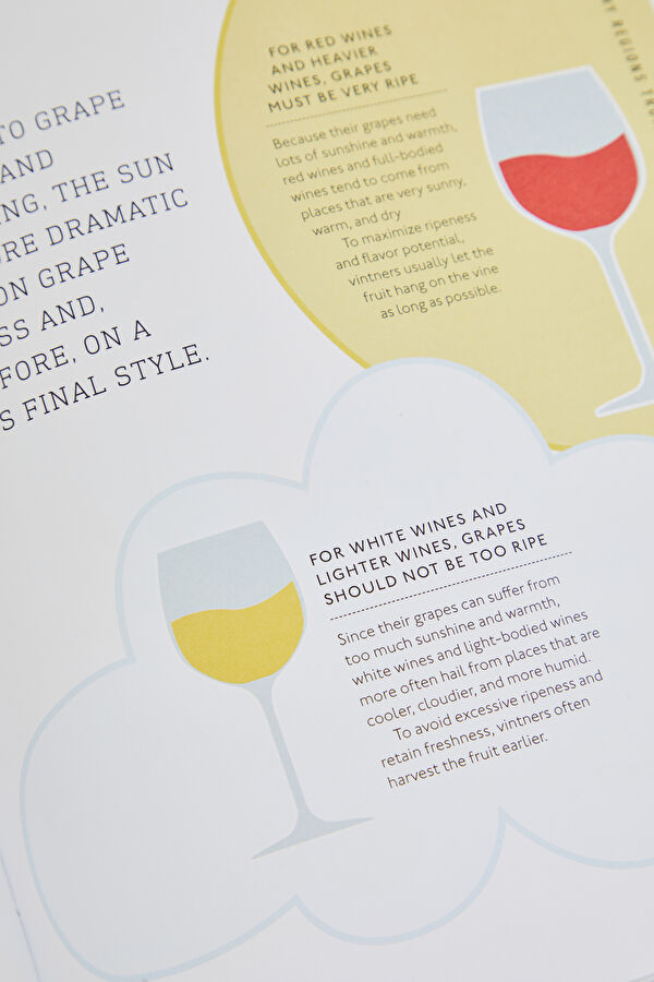 Wine: A Tasting Course 9