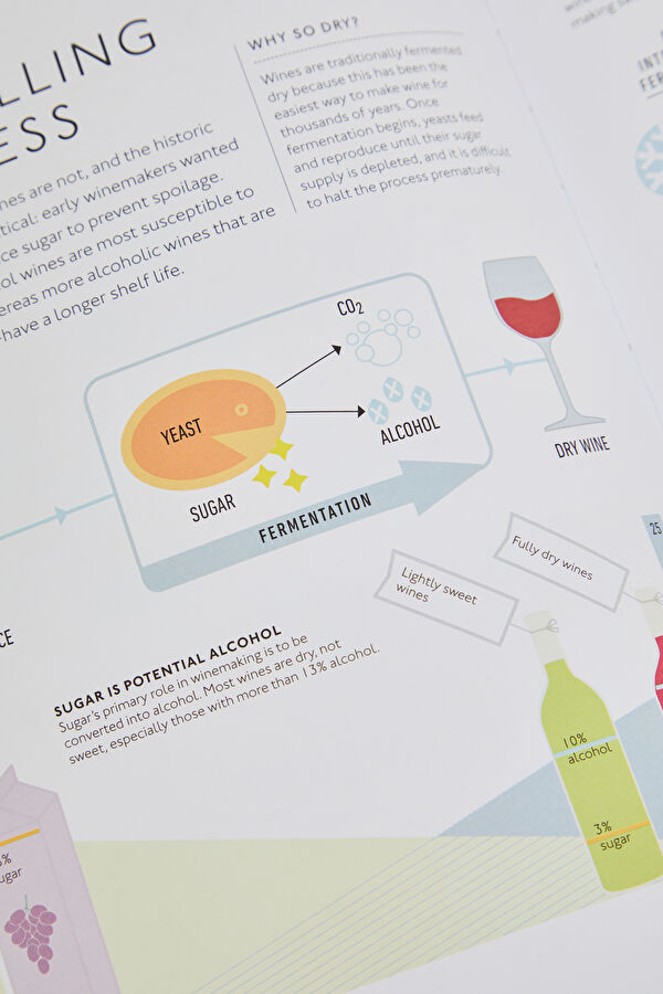 Wine: A Tasting Course 13