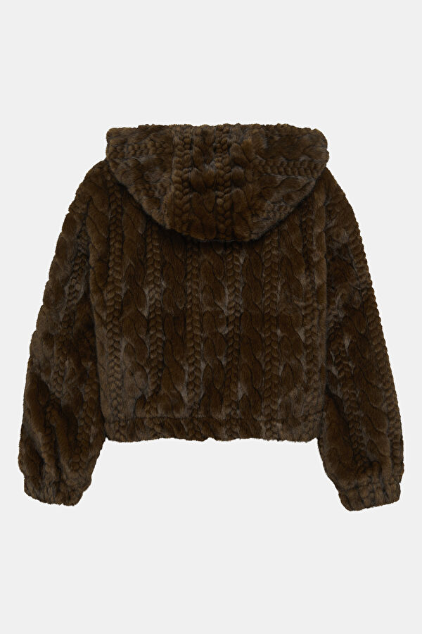 Brown Coat 2