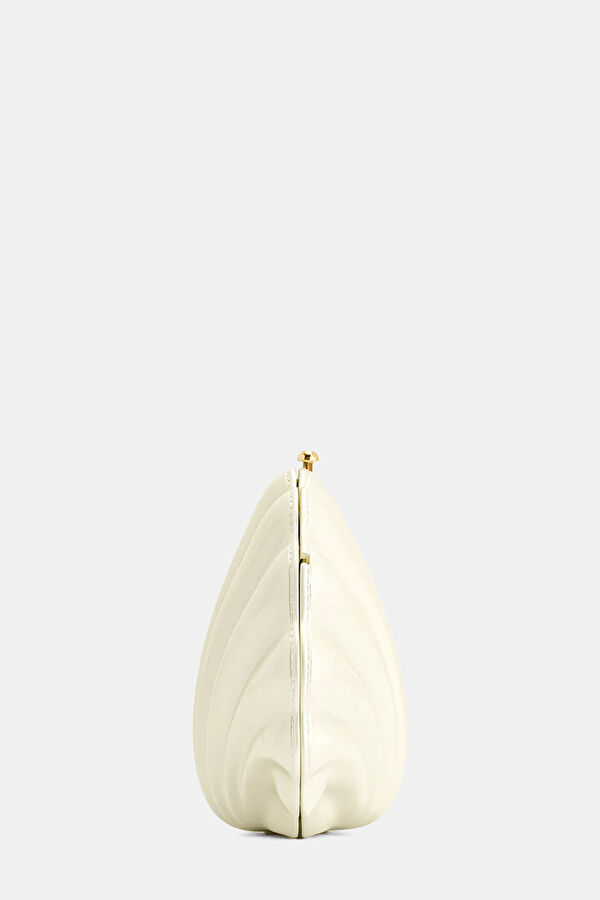 Shell Clutch 3