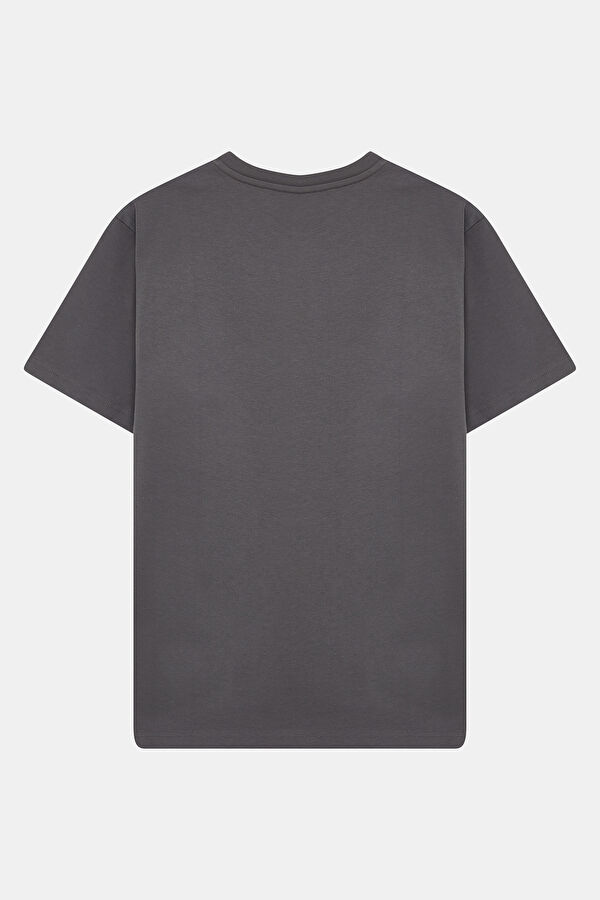 Gri Bisiklet Yaka Baskılı Erkek T-Shirt 2