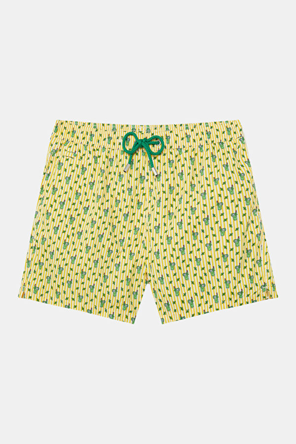 Lighting Micro Stretch Çizgili Desenli Erkek Mayo