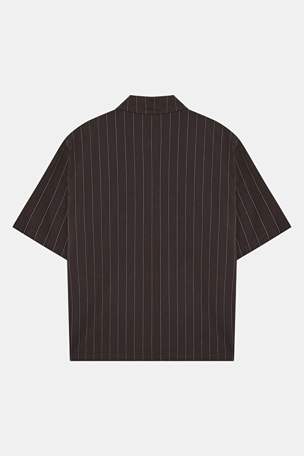 Relax Fit Brown Striped Men's Shirt 5