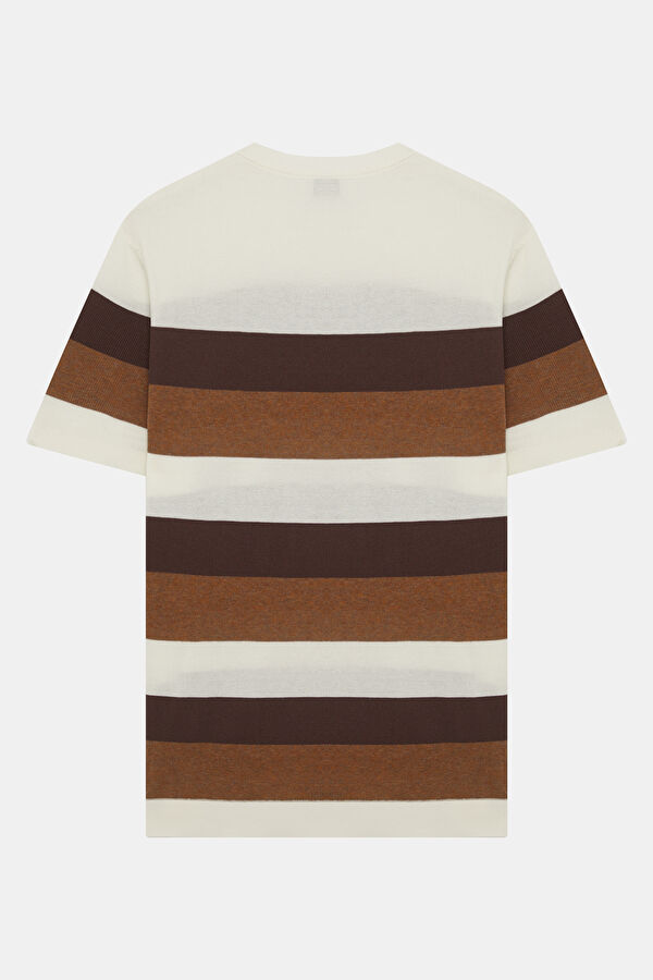 Brown Crew Neck Striped Patterned Men's T-Shirt 2