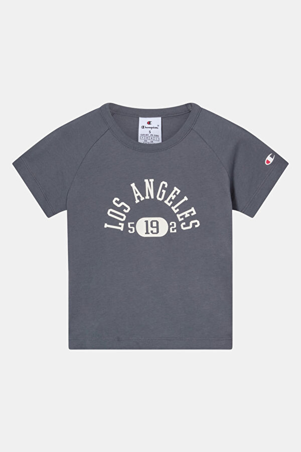 Gray Crew Neck Printed Kids' T-Shirt
