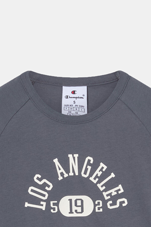 Gray Crew Neck Printed Kids' T-Shirt 2