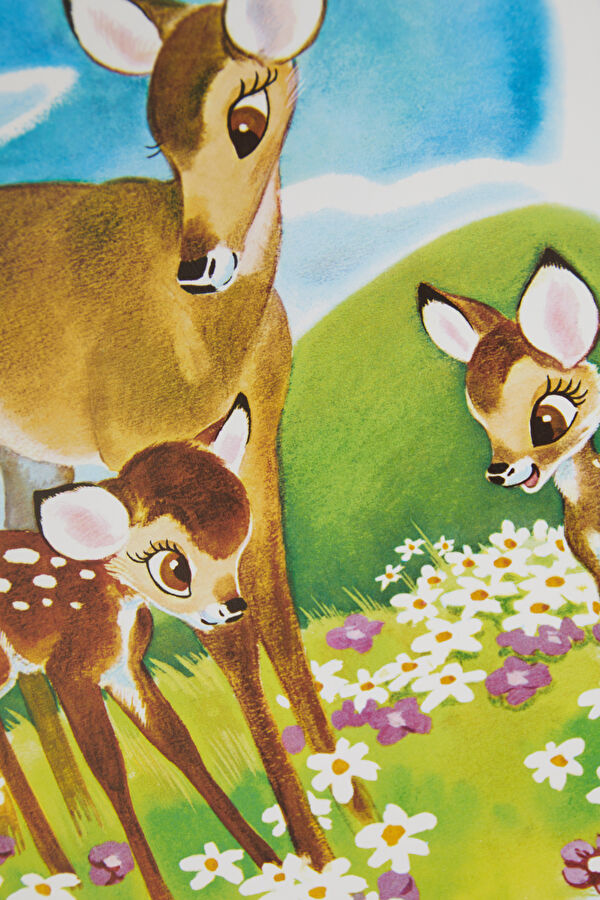 Walt Disney’S Children’S Classics 1937–1953 9