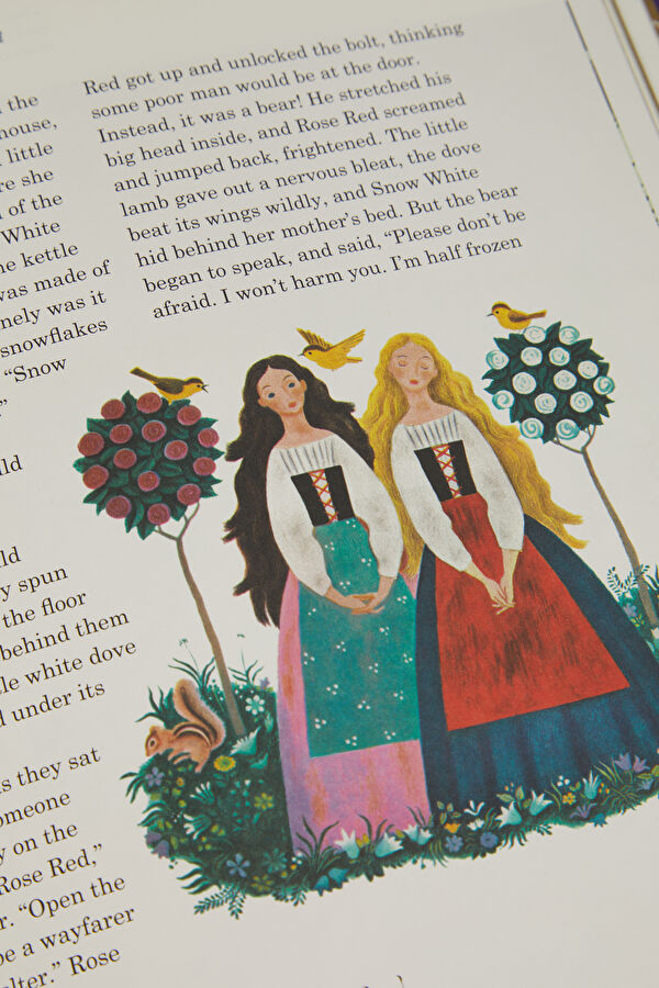 The Fairy Tales Of The Brothers Grimm 12