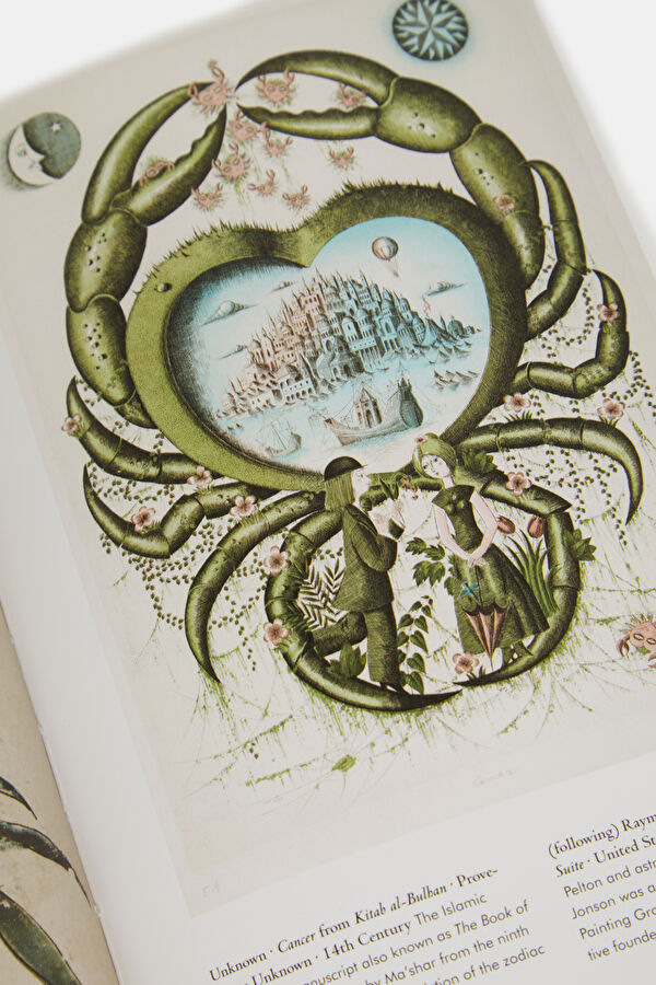Astrology. The Library Of Esoterica 11