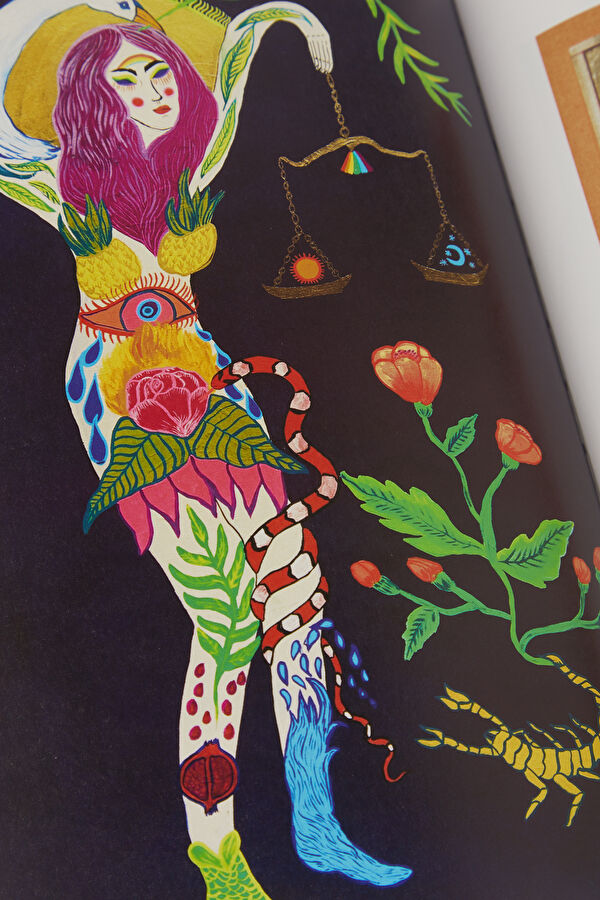 Astrology. The Library Of Esoterica 13