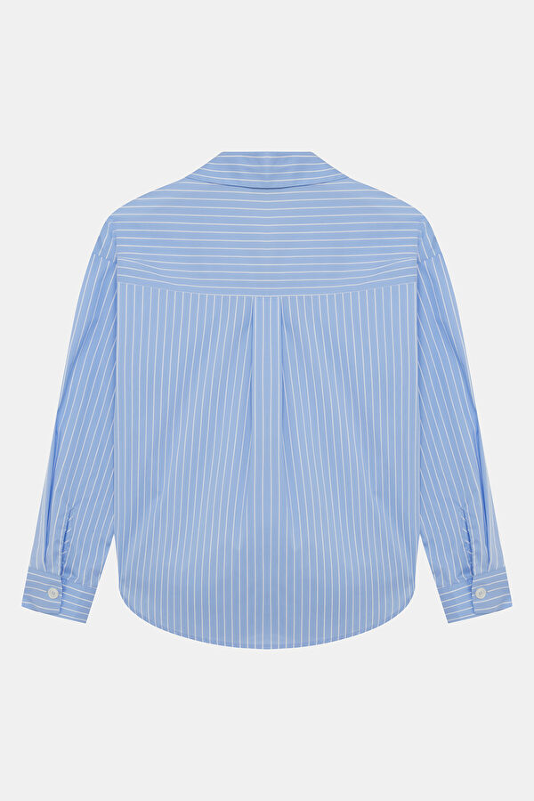 Blue Striped Patterned Women's Shirt 2