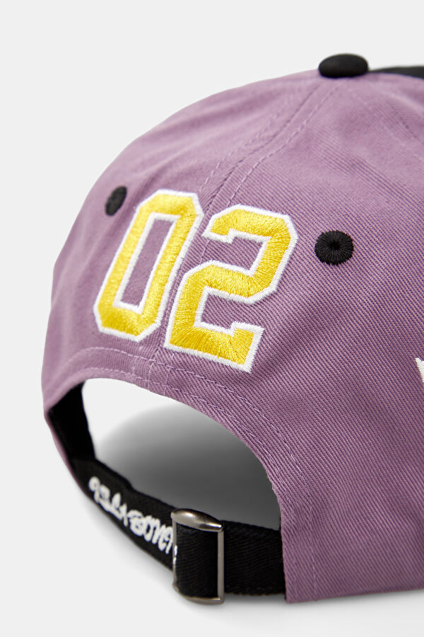 Embroidered Purple Dad Multicolored Hat 3