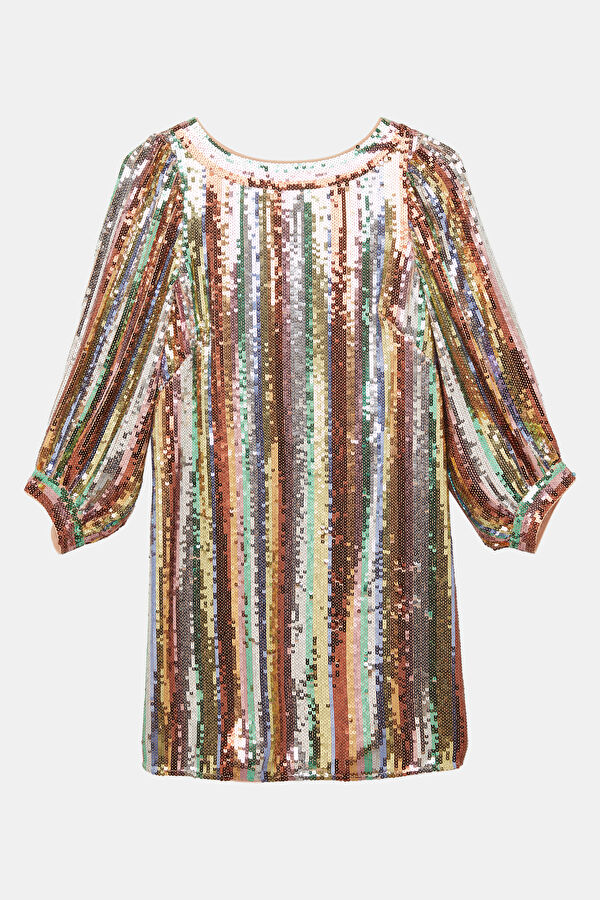 Silver Striped Patterned Women's Dress