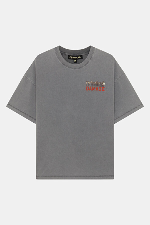 Relax Kalıp Gri Bisiklet Yaka Baskılı Erkek T-Shirt