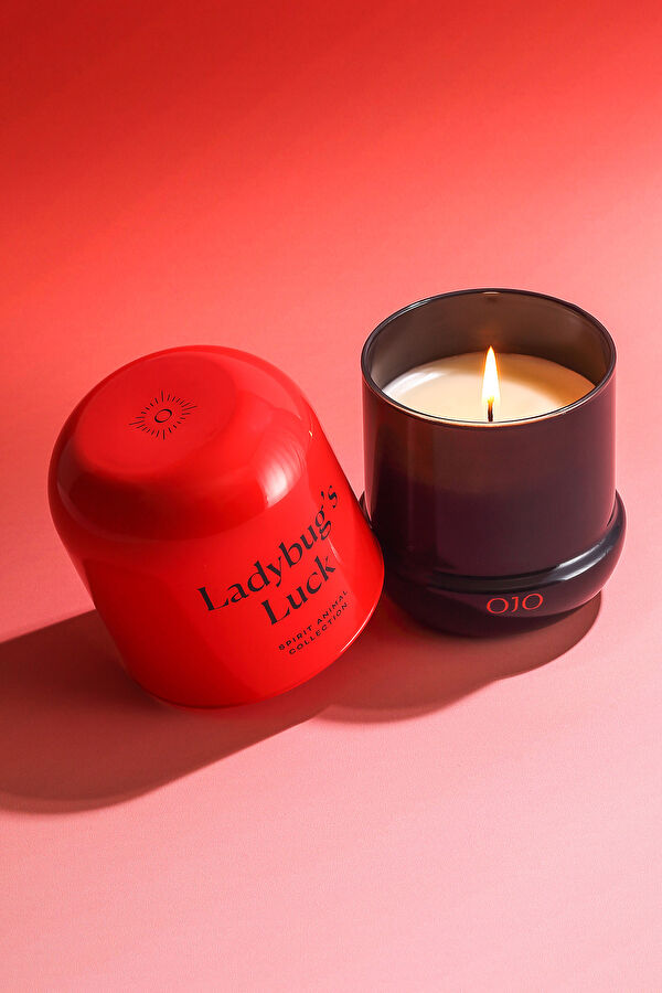 Spirit Animal Ladybug's Luck 3
