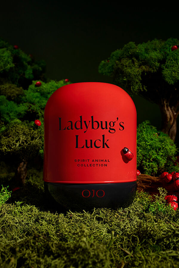 Spirit Animal Ladybug's Luck 4